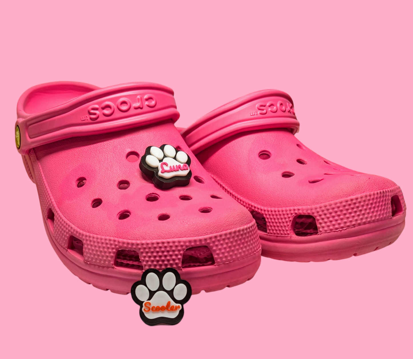 Custom 3D Printed Paw Charms – For Crocs, Clogs, and Bags