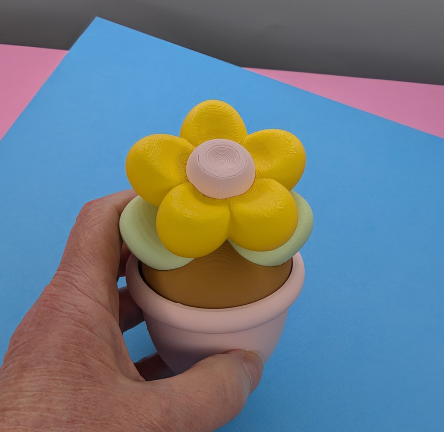 3D Printed Potted Daisy, Flower, Container 2 Sizes
