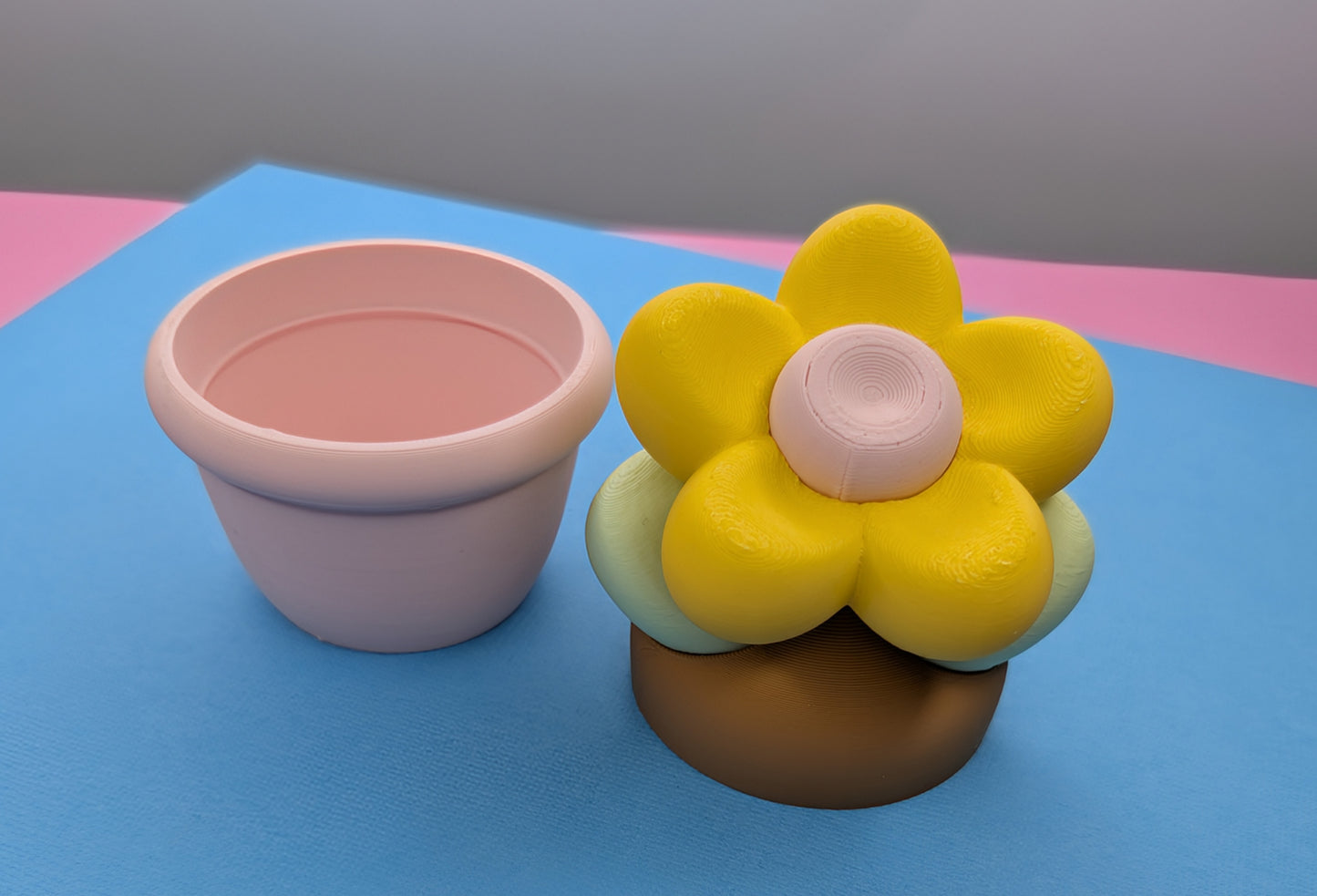 3D Printed Potted Daisy, Flower, Container 2 Sizes