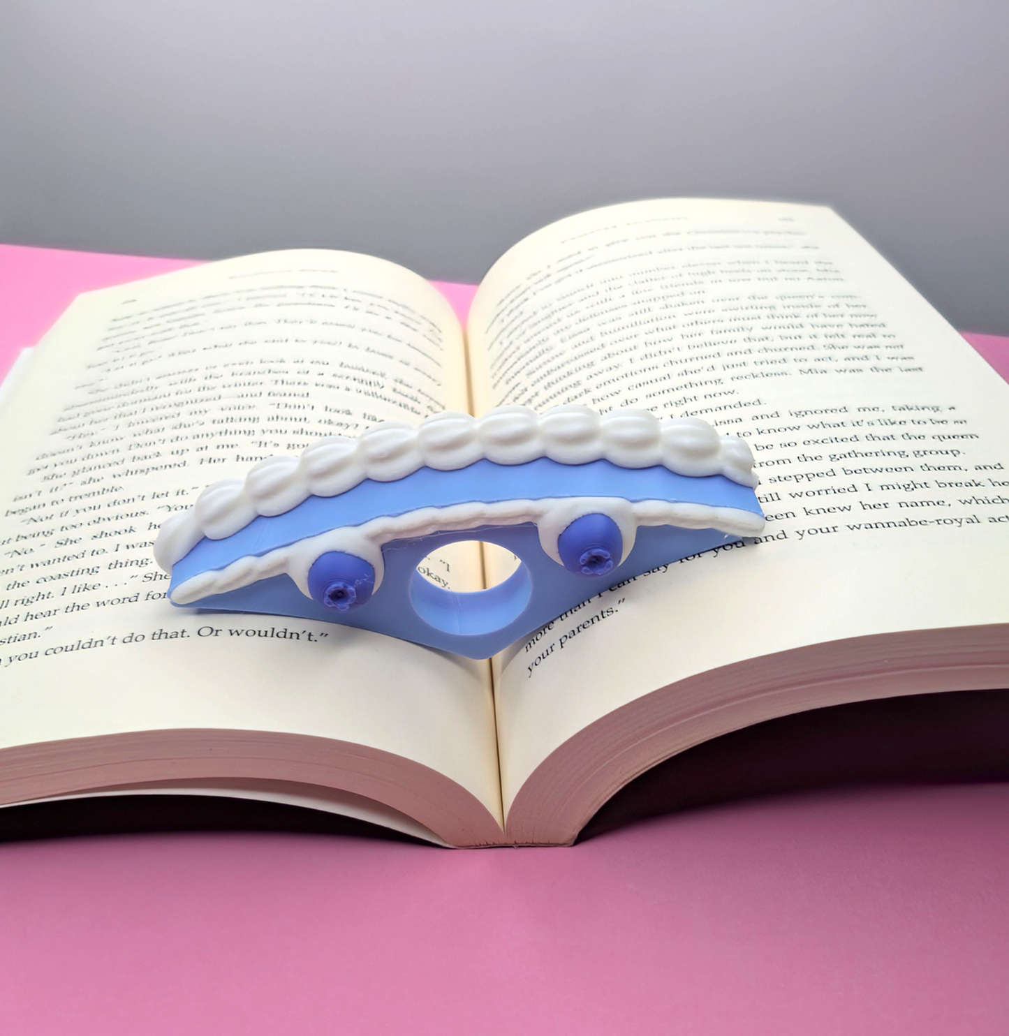 Page Holder (Blueberry Cake)