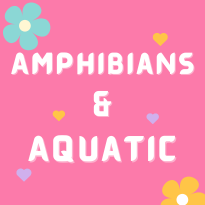 Amphibians & Aquatic