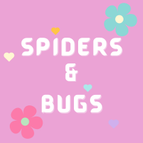 Spiders & Bugs