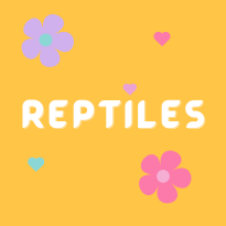 Reptiles