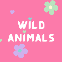 Wild Animals