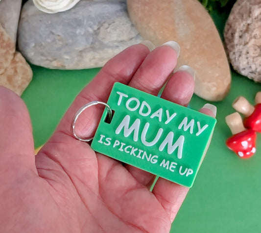 Customizable After School Bag Tags – Perfect for Kids' Reminders ....Personalize Your Colors!