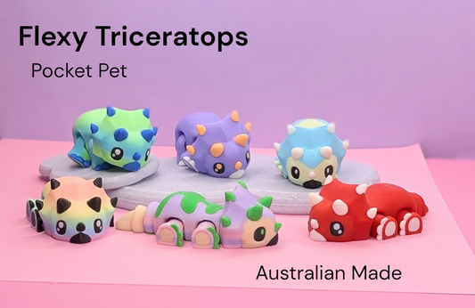 3D Printed Flexy Triceratops – 10cm Long
