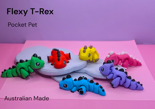 Cute Baby T-Rex Fidget Toys – 10cm Long – 6 Fun Color Options*