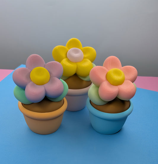 3D Printed Potted Daisy, Flower, Container 2 Sizes