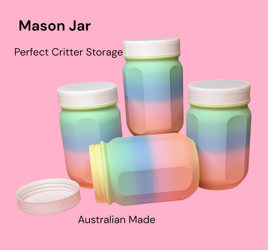 3D Printed Rainbow Mason Jar Perfect Storage for Mini Critters & More