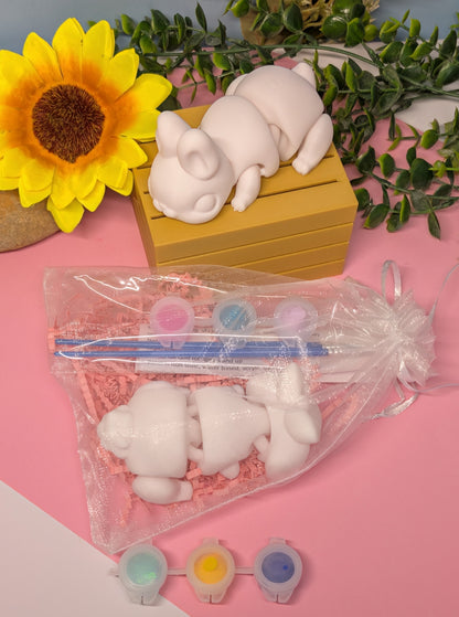 Easter Bunny Painting Kits 3D printed